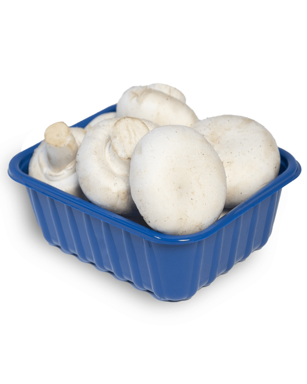 Whole Brown Mushrooms, 8 oz